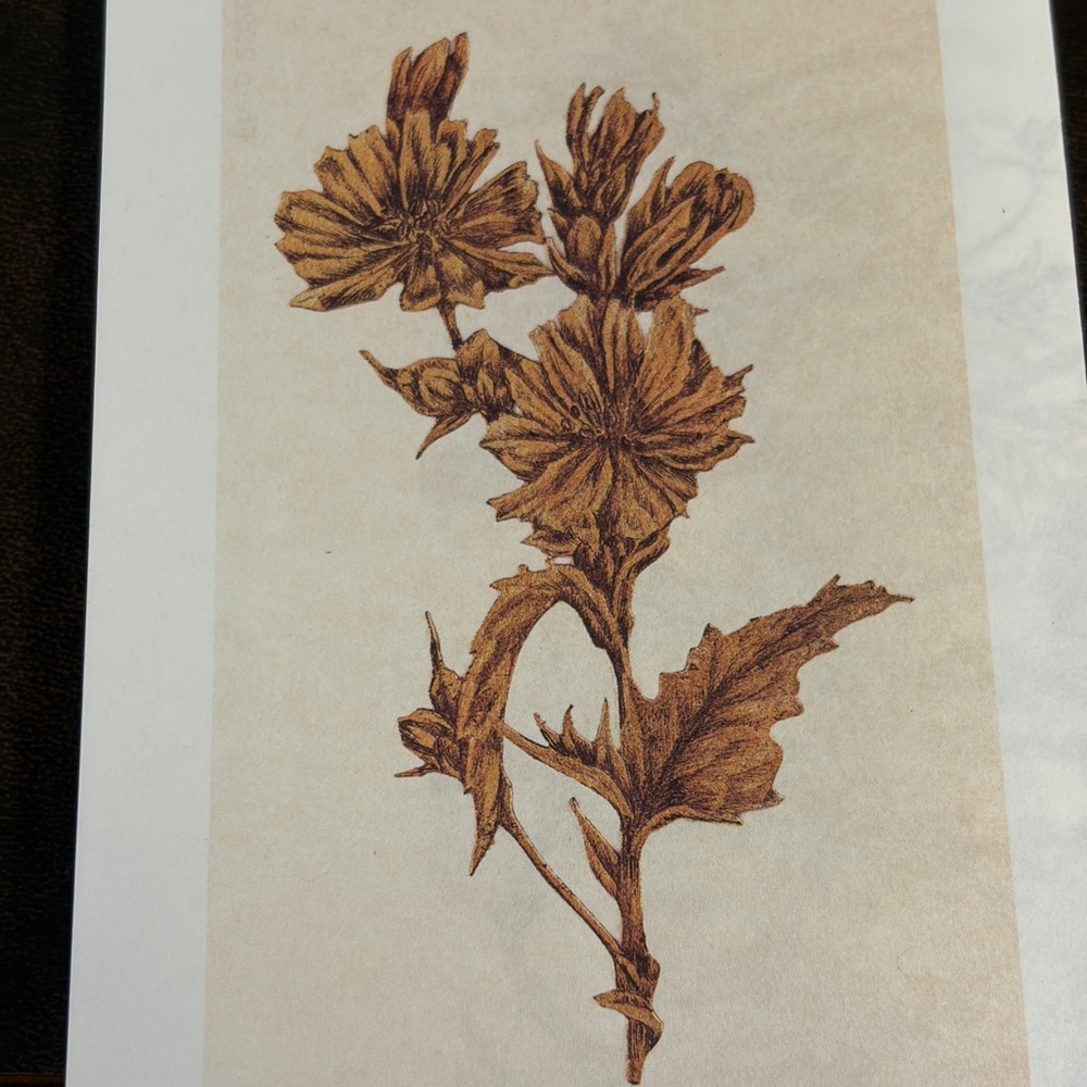 Ffern Spring 26 Sample Box - image 3